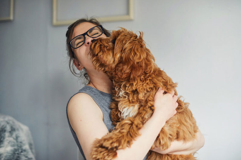 Woman holding a dog as it licks her face