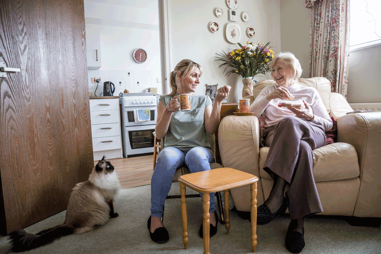 Elderly Companion Care Services