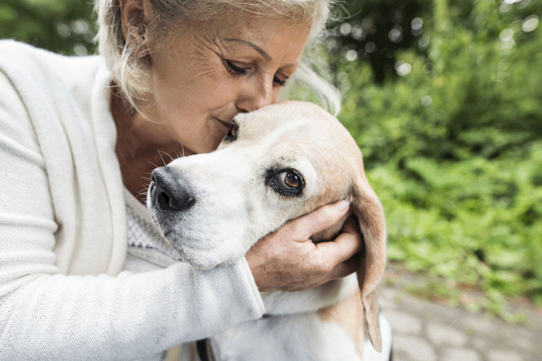 Pet Therapy for Older Adults - Maxim at Home Blog