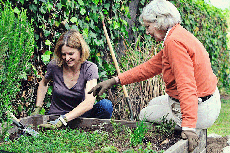 Maxim at Home Companion Services - The Joy of Gardening with a Friend